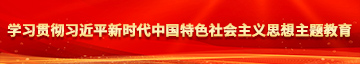 操她视频网站学习贯彻习近平新时代中国特色社会主义思想主题教育